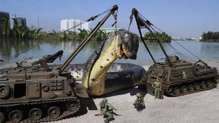 GIANT SNAKE FOUND ON EARTH -- Anaconda attacks man 2016