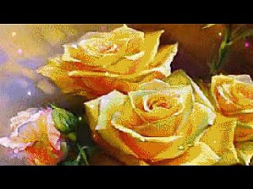 DAAVID - RÓZSA, RÓZSA