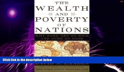 Big Deals  The Wealth and Poverty of Nations: Why Some Are So Rich and Some So Poor  Best Seller