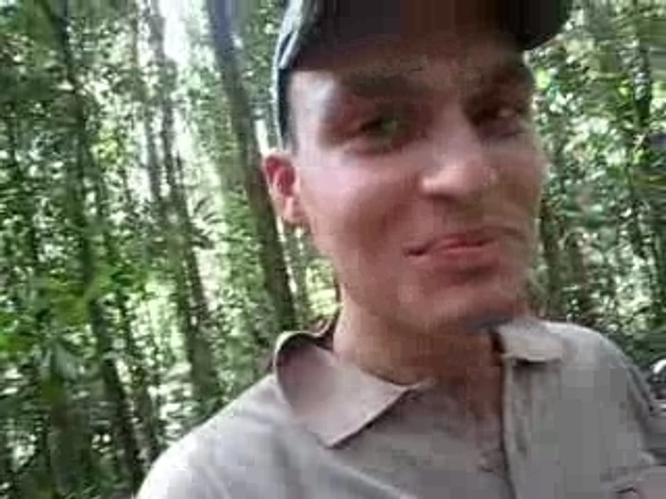 Thib mange des fourmis-citron