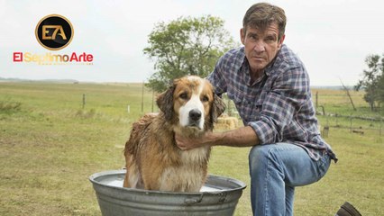 A Dog's Purpose (Tu mejor amigo) - Tráiler V.O. (HD)