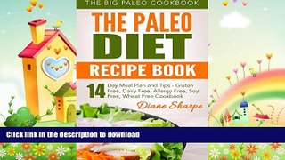 READ BOOK  The Paleo Diet Recipe Book: The BIG Paleo Cookbook, 14-Day Meal Plan and Tips - Gluten