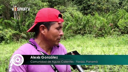 Cámara al Hombro - Laguna Matusagaratí en peligro en Panamá