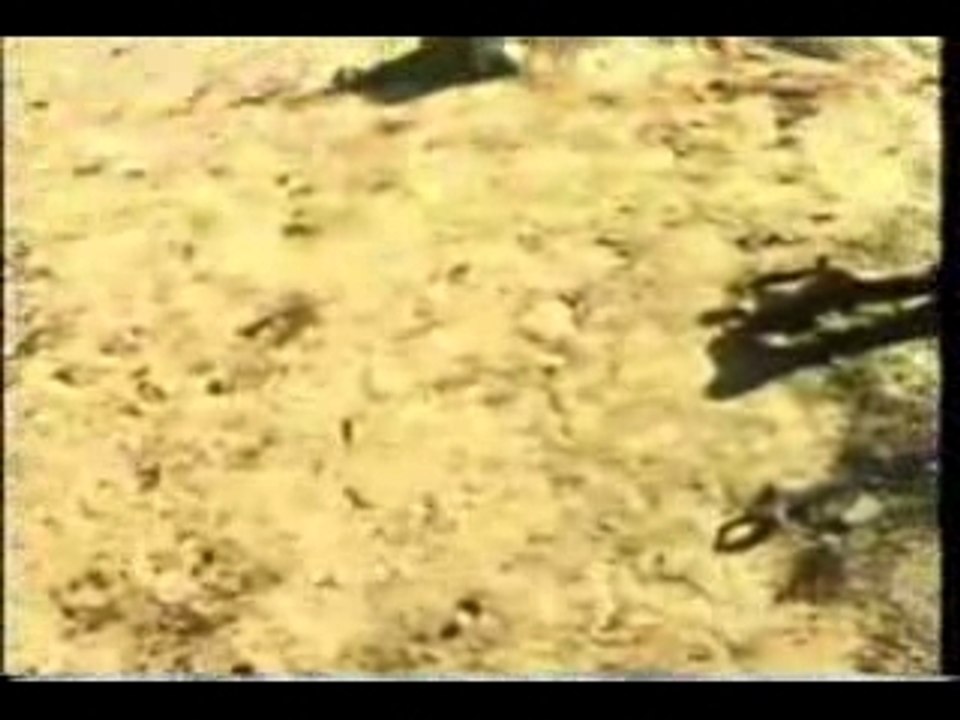 Le vrai visage de la guerre au Sahara