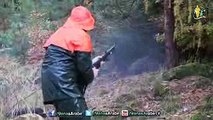 Top 10 Best Shots - Wild Boar Hunting,Chasse Au Sanglier