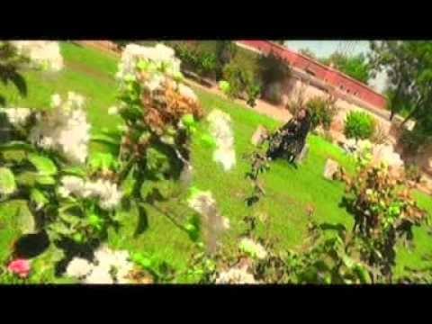 Shehzadi Musarat Kanwal | Eho Befawa Ae | Latest Songs | Thar Production