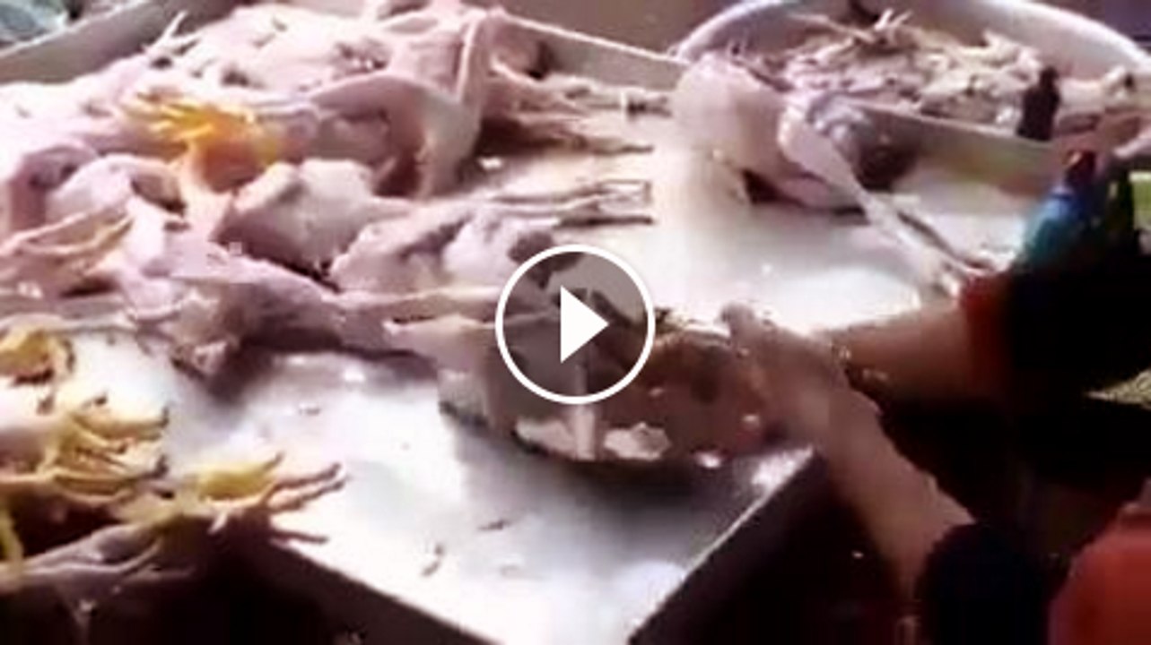 Chicken injection