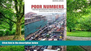 Big Deals  Poor Numbers: How We Are Misled by African Development Statistics and What to Do about