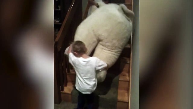 Emporté par un ours... En peluche