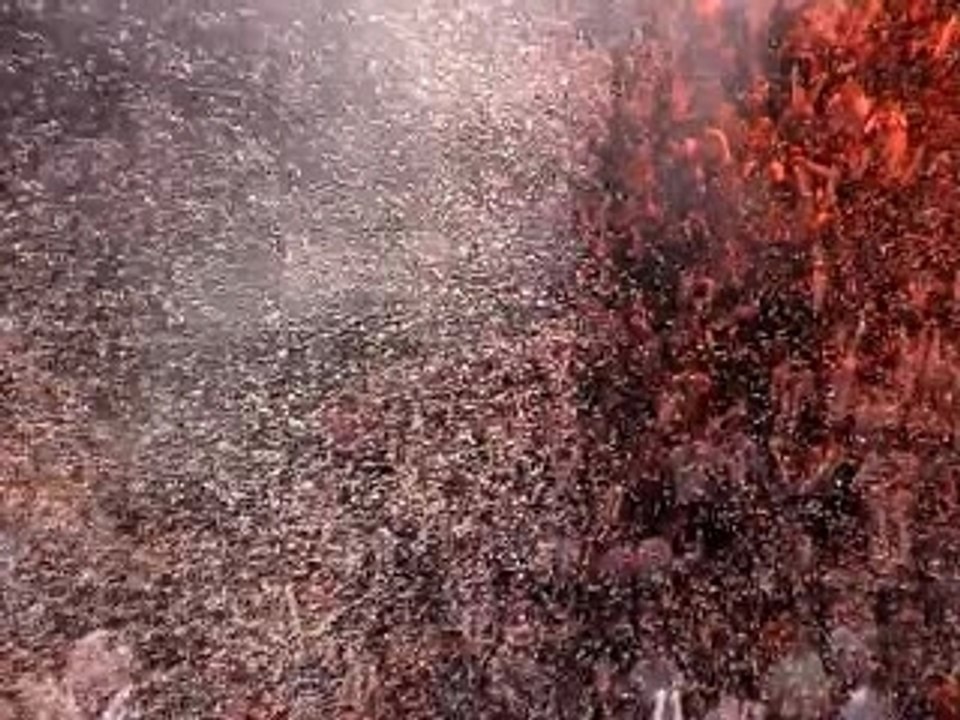 cie ainsi danse fait son show a bercy  3