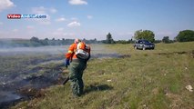 Andria: i volontari salvano uliveti dalle fiamme