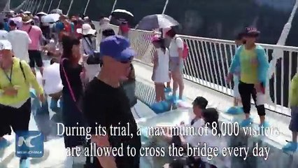 Le pont en verre le plus long du monde ouvre enfin au public !