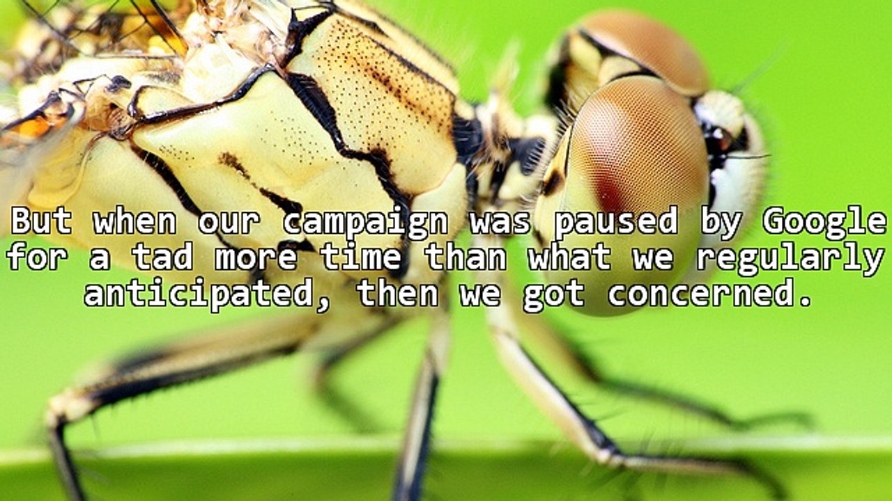 The Shot Heard Around The World: Google's Endorsement of - Get Google Ads Free!