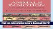 [Read] Animals in Motion (Dover Anatomy for Artists) by Muybridge, Eadweard (2000) Full Online