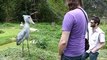 Man uses non-verbal communication to talk to a friendly bird