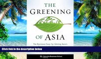 Big Deals  The Greening of Asia: The Business Case for Solving Asia s Environmental Emergency