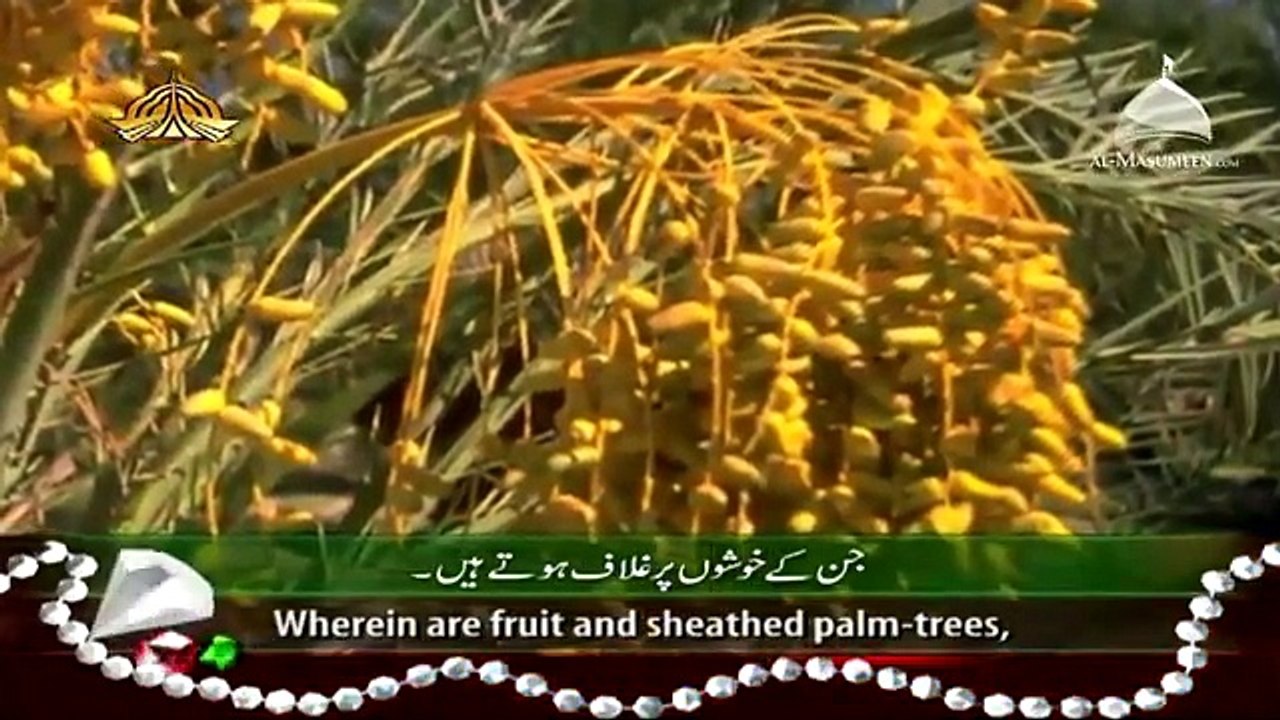 Surah Rehaman