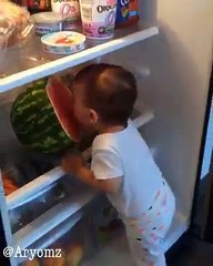 baby eating watermelon in fridge