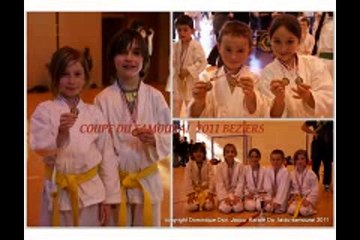 Coupe samourai 2011 Bezizrs