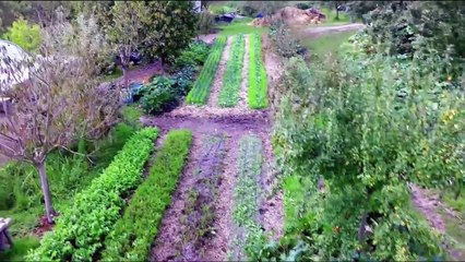 Mieux produire avec la permaculture - FUTUREMAG- ARTE_H264-1280x720