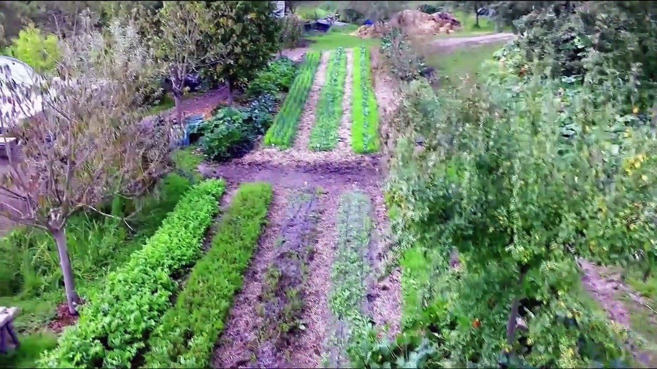 Mieux produire avec la permaculture - FUTUREMAG- ARTE_H264-1280x720