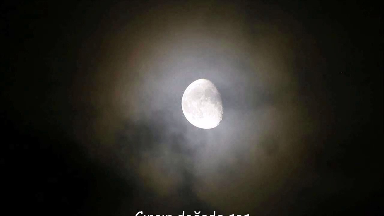 Cırcır doğada ses