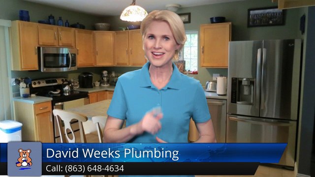 David Weeks Plumbing Lakeland Wonderful Five Star Review by Erika M.