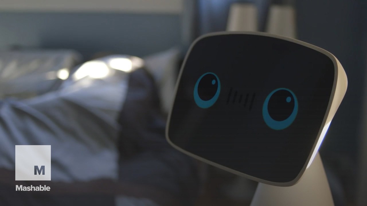 This friendly robot wants to become a part of your family