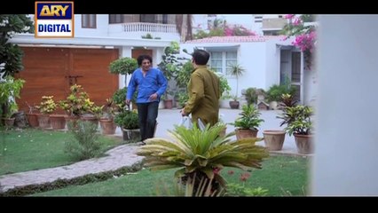 Watch Dilli Walay Dularay Babu 1st Episode on Ary Digital in High Quality 27th August 2016