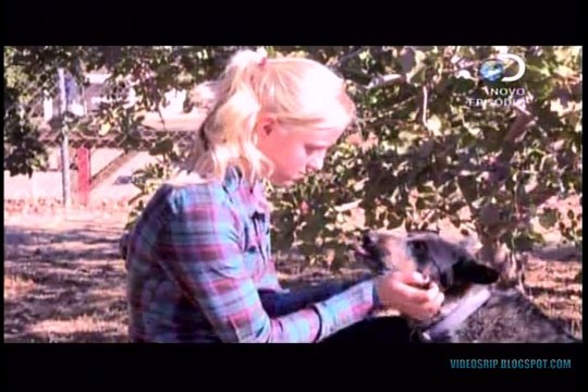 Parasitas Assassinos S03E08- Sonho Acabado