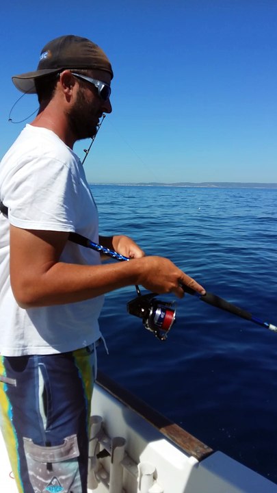 Grappe de maquereaux