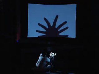 Awesome Shadow Show, Its Mind Blowing!