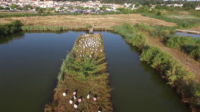 Un aperçu d' Amers Biennale Art & Nature sur l île D' Oléron, Bientôt l intégralité des œuvres ...