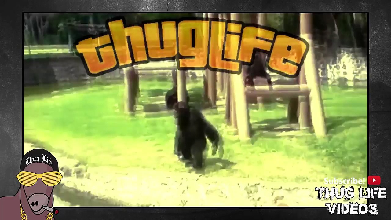 Best Thug Life Compilation of 2016 Part 165