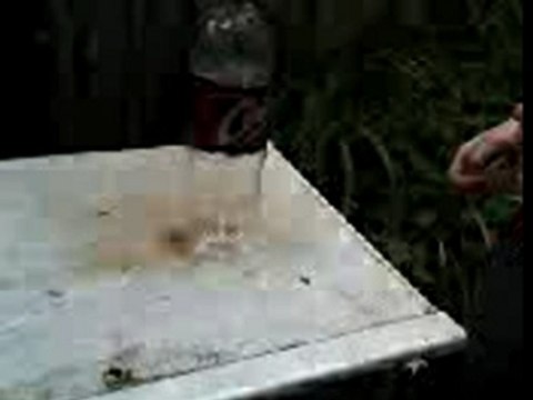 Voila un delire entre couzin