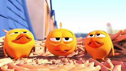 Animared short cartoons.Pigeons - Cute animation