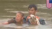 Inondations : il sauve une femme coincée dans une voiture qui coule