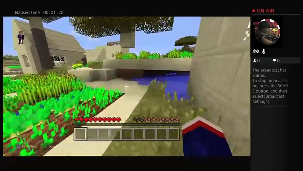 How to Minecraft (11)
