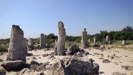 Stone Forest - Pobiti Kamani, Bulgaria