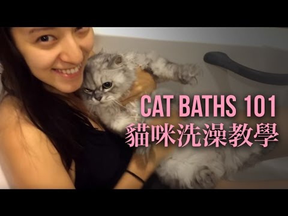 【貓咪洗澡教學】Cat Baths 101 with Meimeiwawa!
