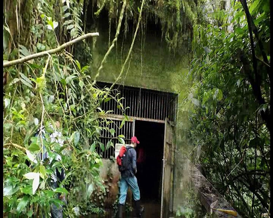 janela da conceicao