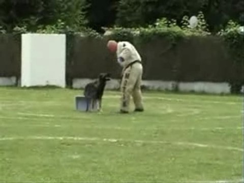 Concours Ring St Lyé - TEMO