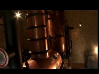 Les Chais du Baron de Sigognac