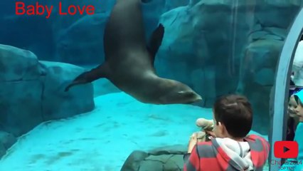 Funny Animals - Animals Joke Kids at The Zoo