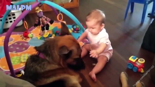 German Shepherd Dogs Playing And Protecting Babies Compilation