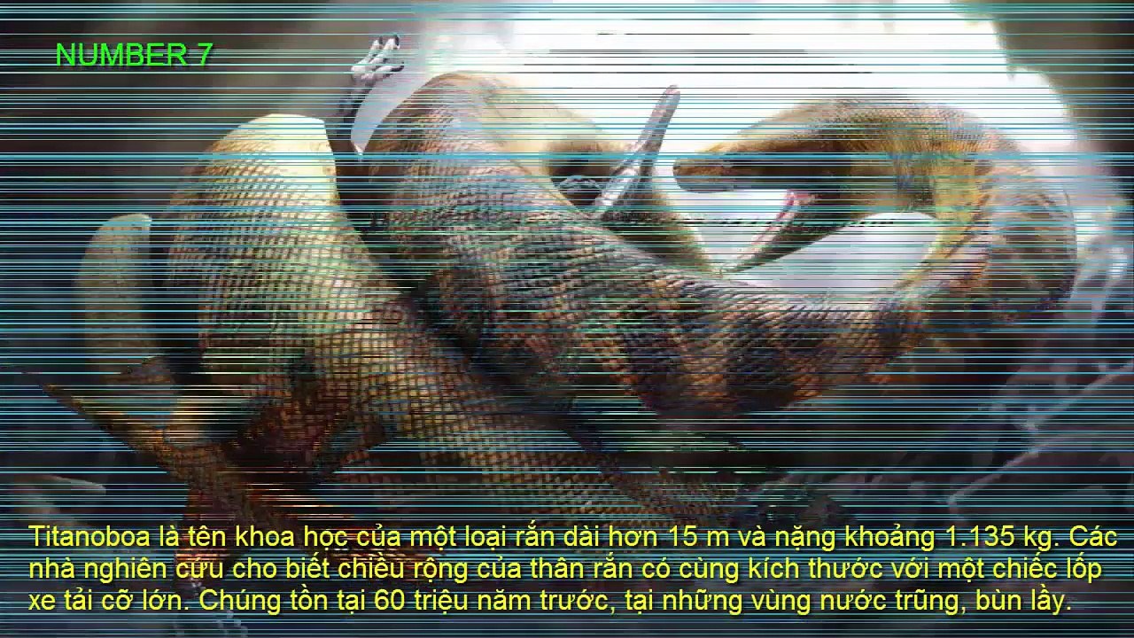 Top 10 động vật thời kì tiền sử to lớn nhất