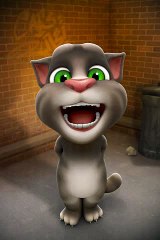 cat sing a song in punjabi language