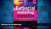 Must Have  Financial Modelling in Practice: A Concise Guide for Intermediate and Advanced Level