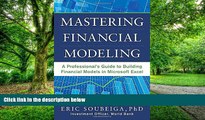 Big Deals  Mastering Financial Modeling: A Professional s Guide to Building Financial Models in
