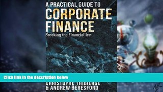 Big Deals  A Practical Guide to Corporate Finance: Breaking the Financial Ice  Best Seller Books